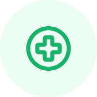 Healthcare Icon